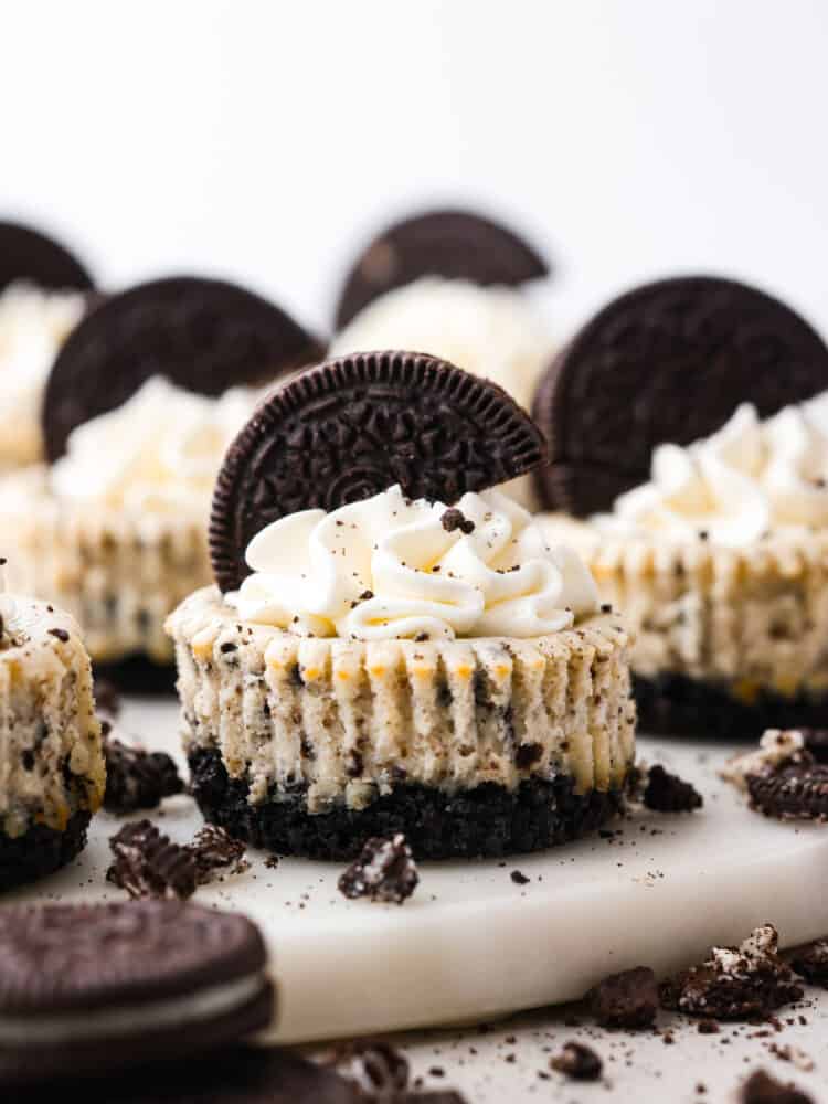 Hero image of mini cheesecakes topped with whipped cream and an Oreo.