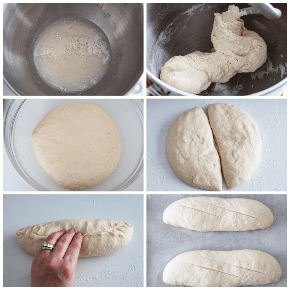 Process photos showing how to liven the yeast, knead the dough, let it rise, divide it, and shape it.