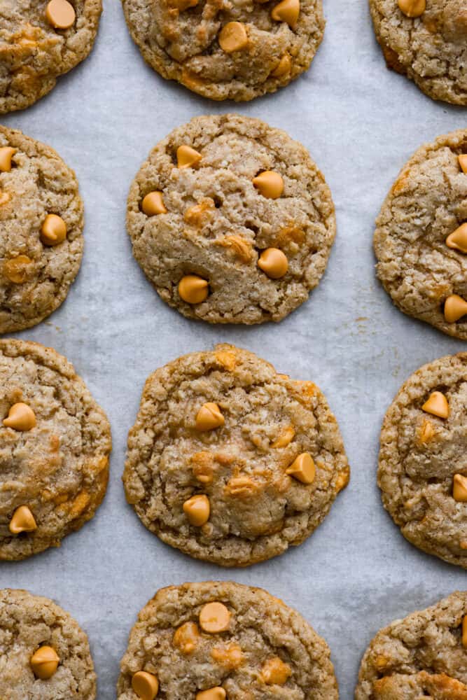 Closeup of oatmeal scotchies cookies on parchment paper.
