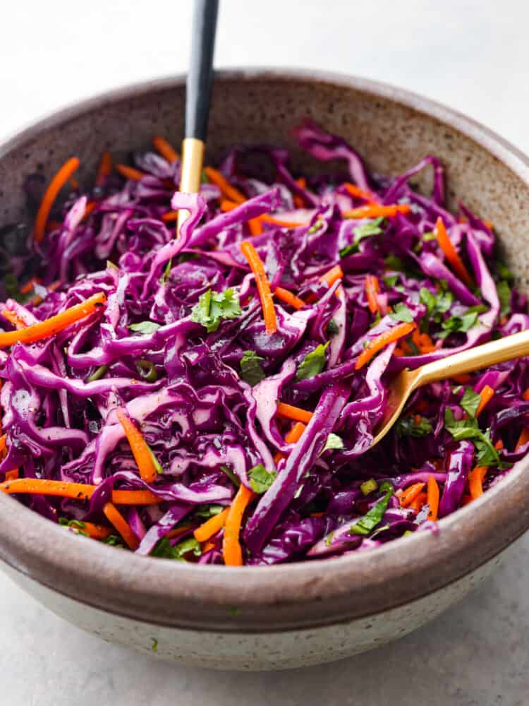 Hero image of red cabbage slaw.