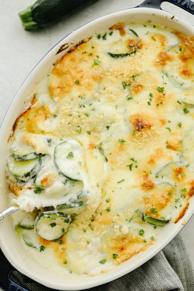 Parmesan Zucchini Gratin in a white dish.