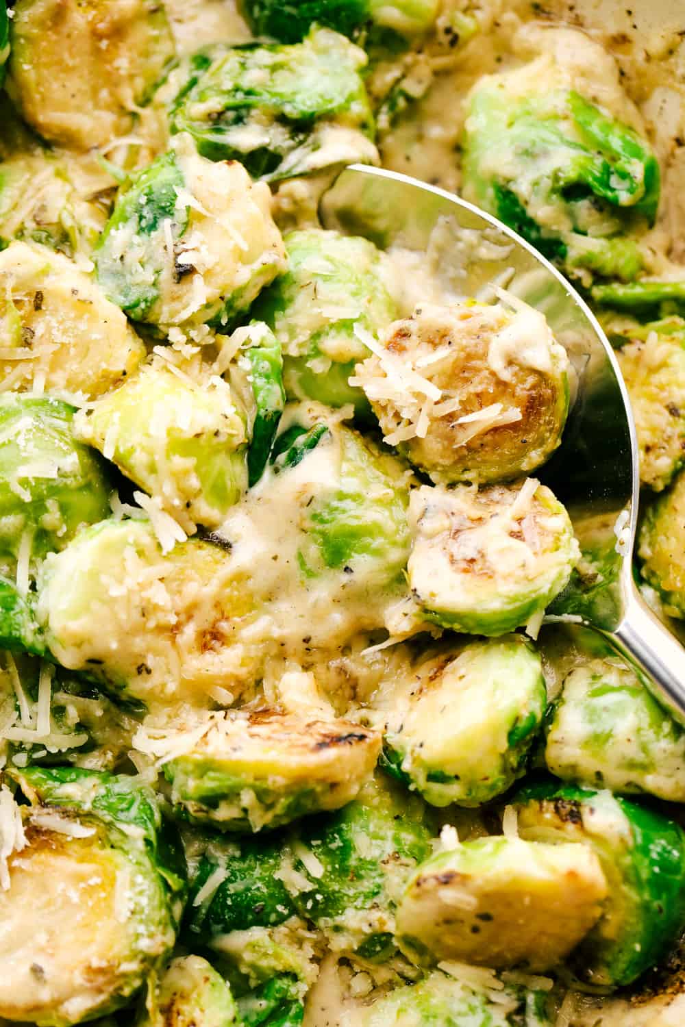 Close view of creamy parmesan garlic brussels sprouts with a serving spoon.