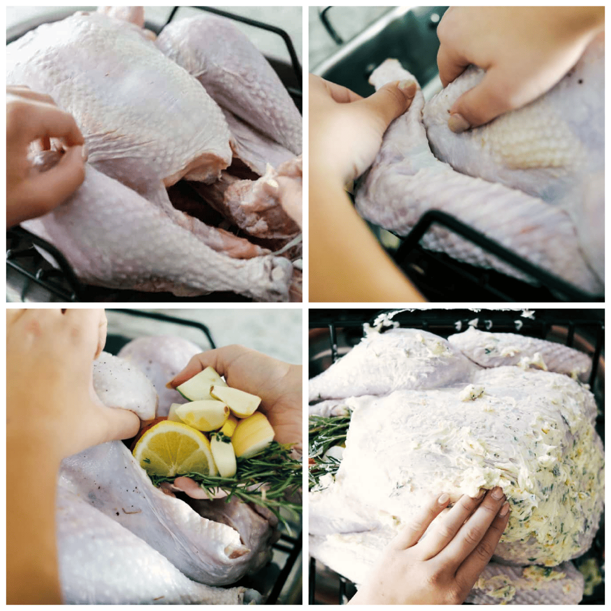 First photo of removing the giblets from the turkey. Second photo of tucking the legs under the bird. Third photo of stuffing the turkey with fruit and herbs. Fourth photo of rubbing the herb butter on the turkey.