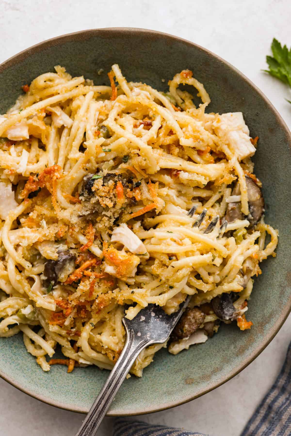 Overhead shot of plated chicken tetrazzini. 