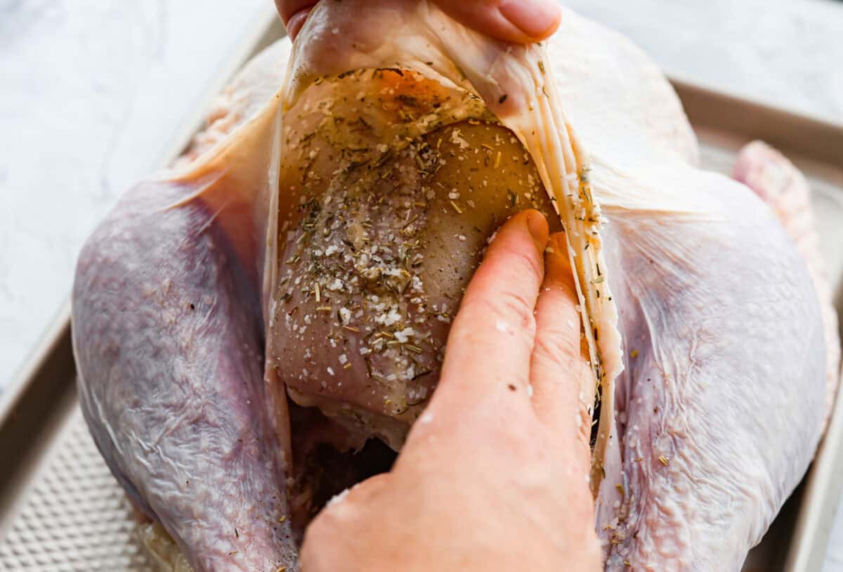 Close up shot of someone holding up the skin of the turkey and spreading the salt and seasoning mix on the bird. 