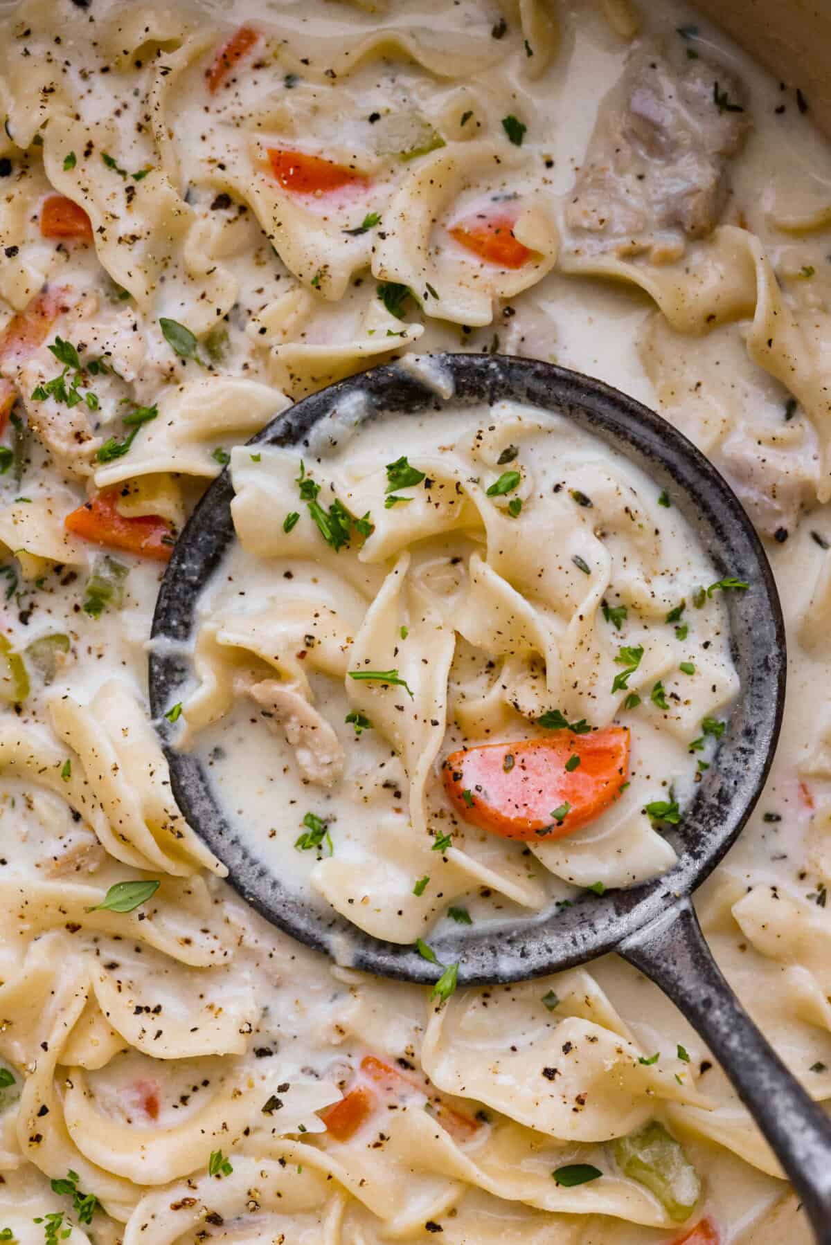 This creamy chicken noodle soup tastes exactly how it sounds! It's classic chicken noodle soup but creamy, rich and filling! Loaded with hearty chicken, tender carrots, supple noodles, and lots of delicious flavors, it's perfect for winter! Close up shot of creamy chicken noodle soup.