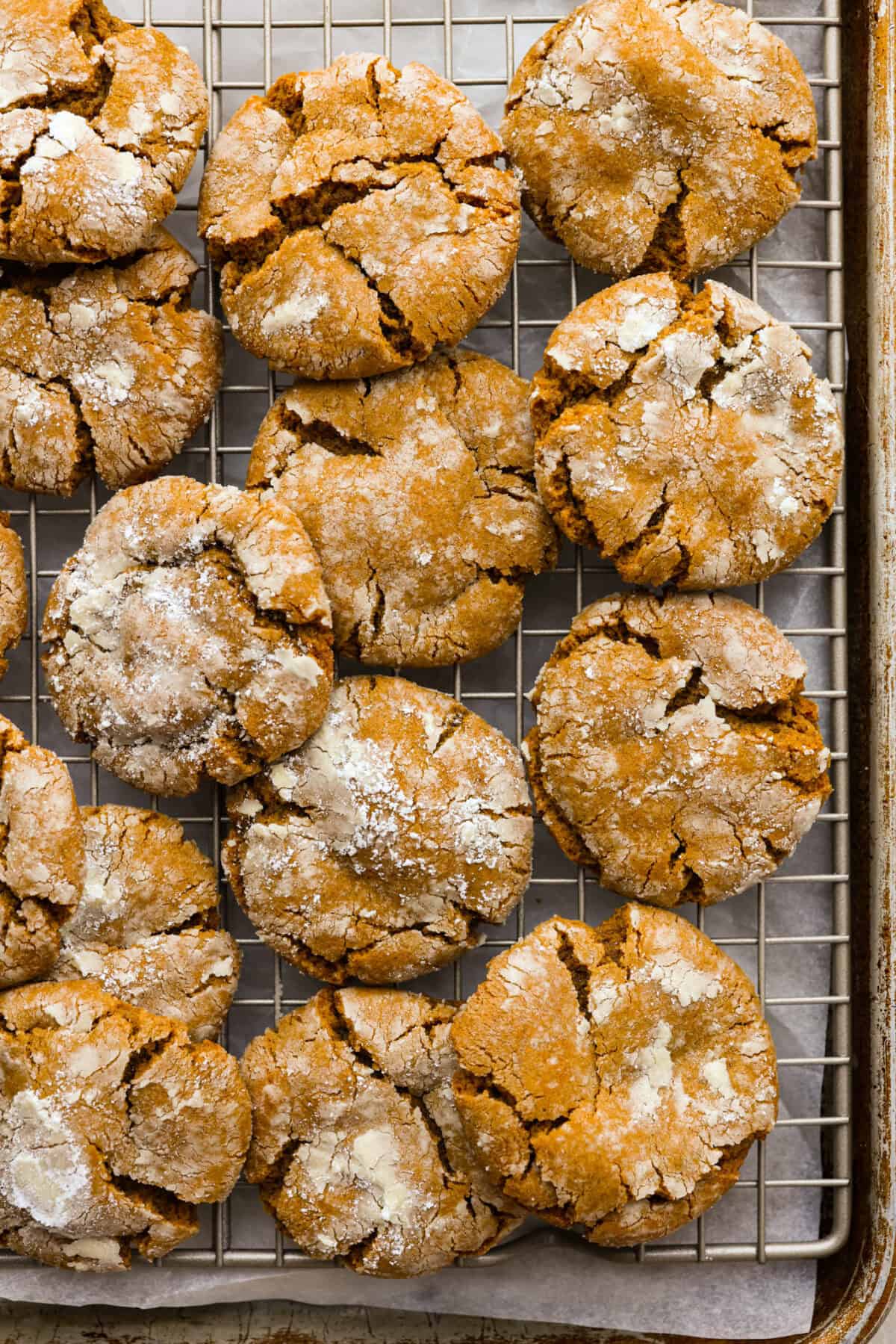 Overhead shot of gingerbread crinkle cookies on a cooling rack over a baking sheet. 