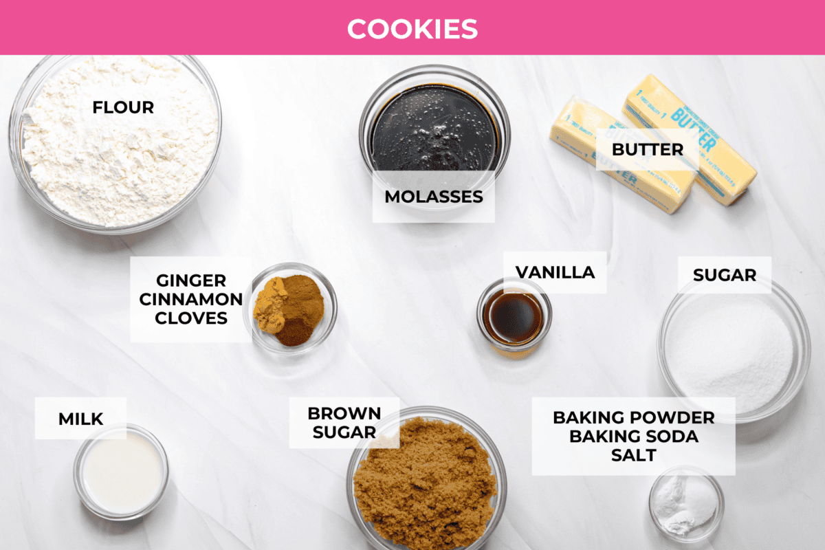 Overhead shot of labeled cookie ingredients. 