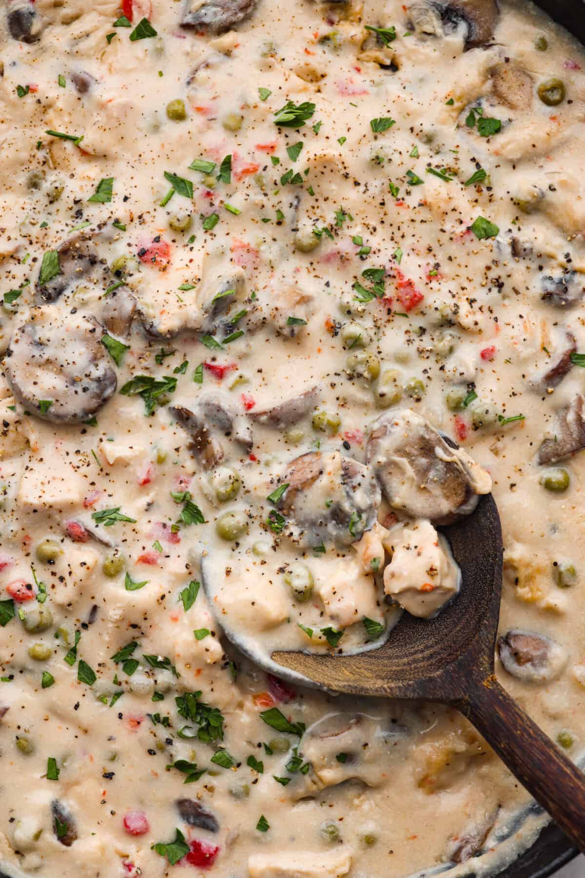 Chicken a la king is a timeless recipe that’s perfect for cozy dinners! This classic dish features tender chicken and veggies in a rich, creamy gravy-like sauce loaded with savory flavor. Close up shot of chicken a la king with a serving spoon.