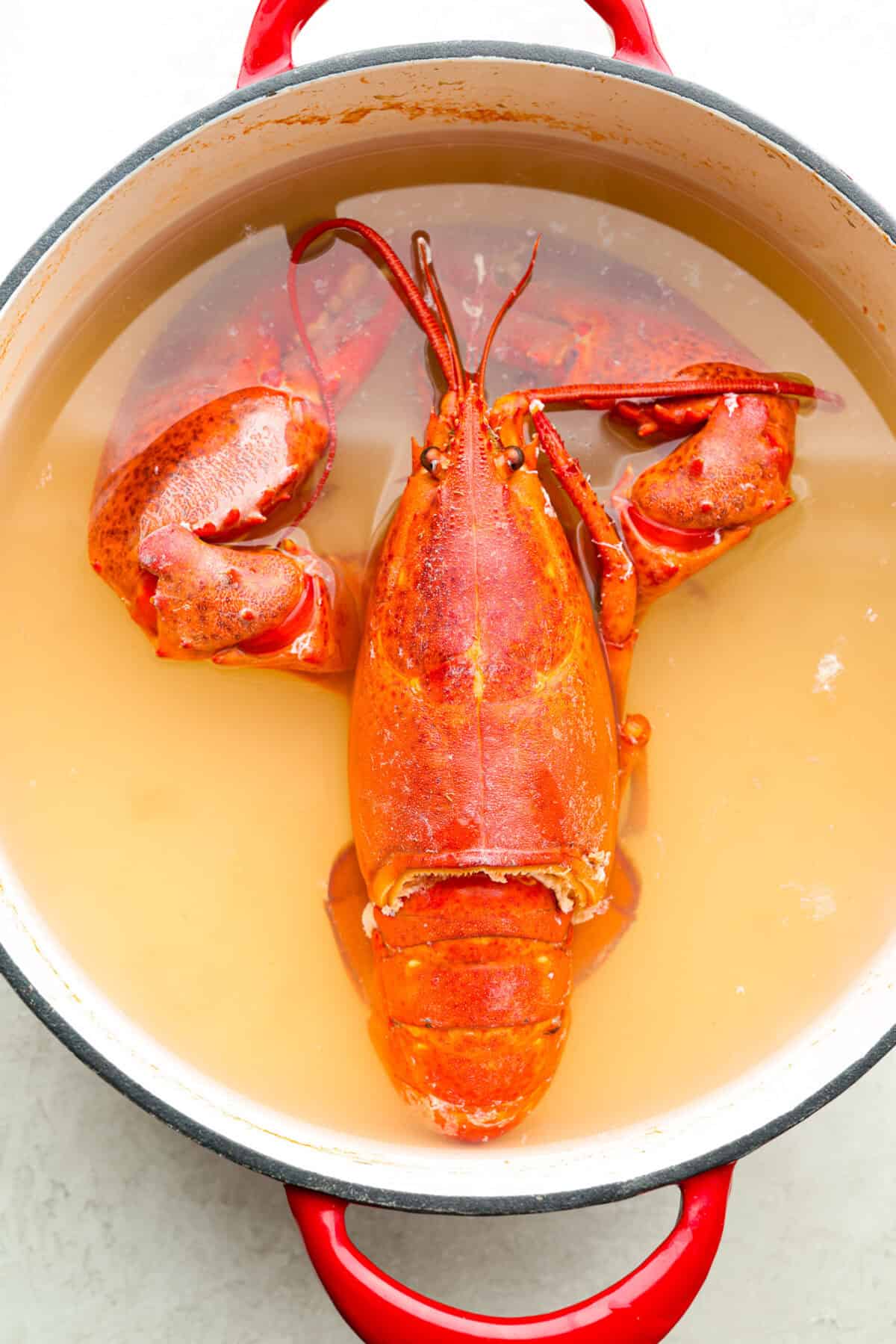 Learn how to boil lobster and enjoy this simple and delicious seafood delicacy. With a few basic steps, you'll have perfectly cooked, tender lobster in just 20 minutes! Serve it with melted butter and your favorite sides. Overhead shot of a cooked lobster inside a pot.