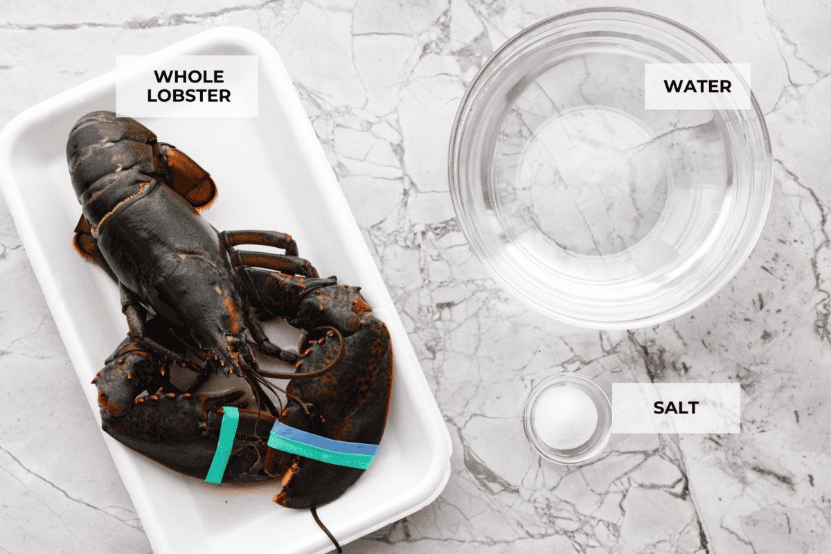Learn how to boil lobster and enjoy this simple and delicious seafood delicacy. With a few basic steps, you'll have perfectly cooked, tender lobster in just 20 minutes! Serve it with melted butter and your favorite sides. Overhead shot of labeled ingredients.