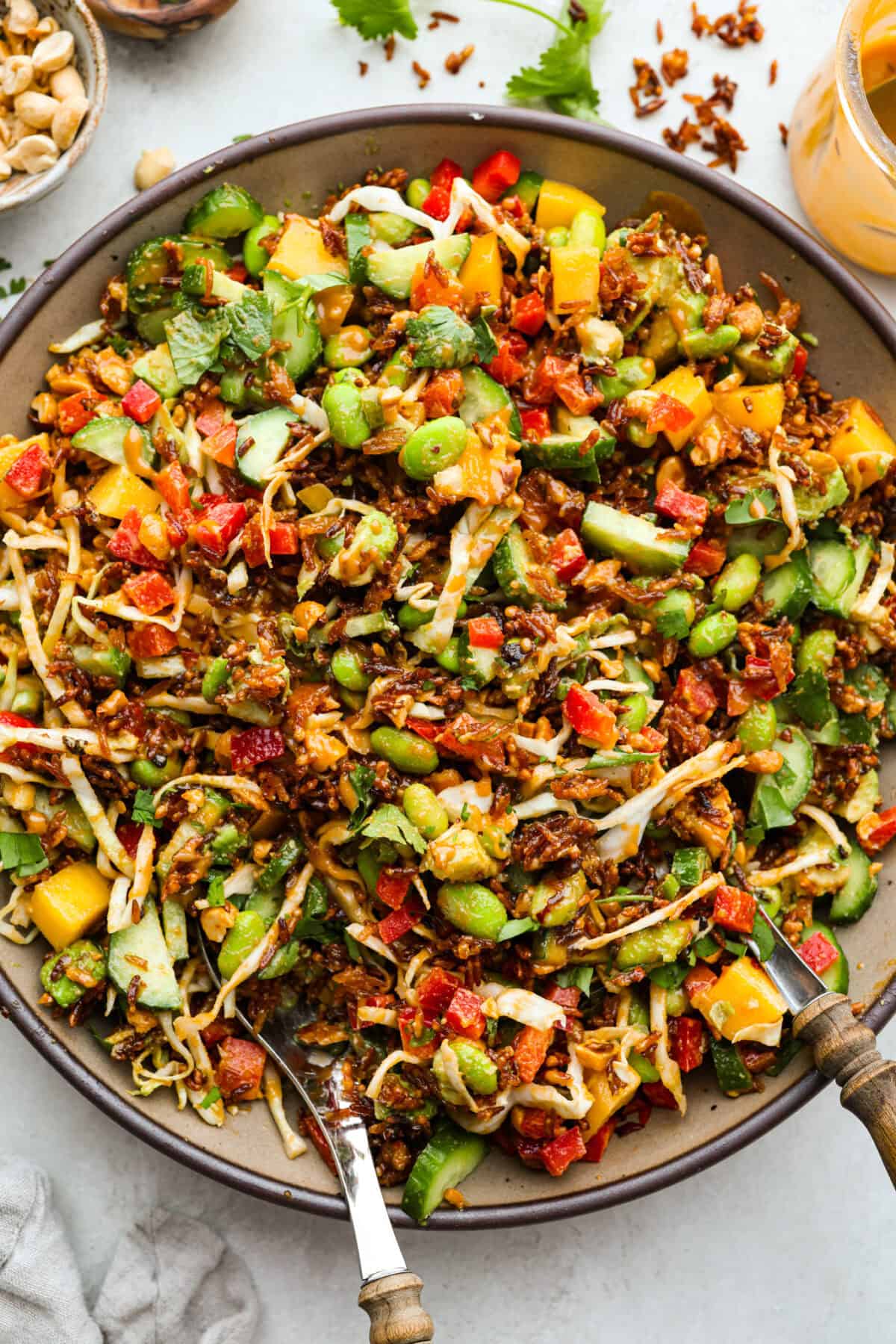 This trendy Crispy rice salad is a perfect mix of crunch, freshness, and bold flavor! Golden rice, vibrant veggies, and a creamy dressing make every bite irresistible. Overhead shot of the trendy crispy rice salad.