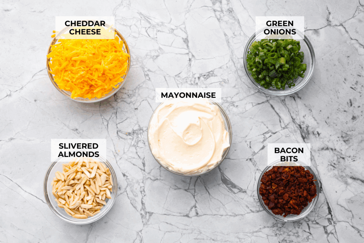 Million Dollar Dip, also known as the famous Neiman Marcus Dip, is creamy, cheesy, and loaded with almonds, green onions, and bacon. It’s the ultimate appetizer that everyone asks for the recipe. Overhead shot of labeled ingredients.