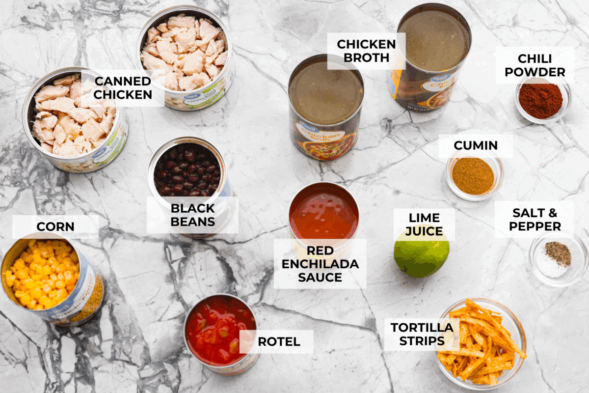 Overhead shot of labeled ingredients.