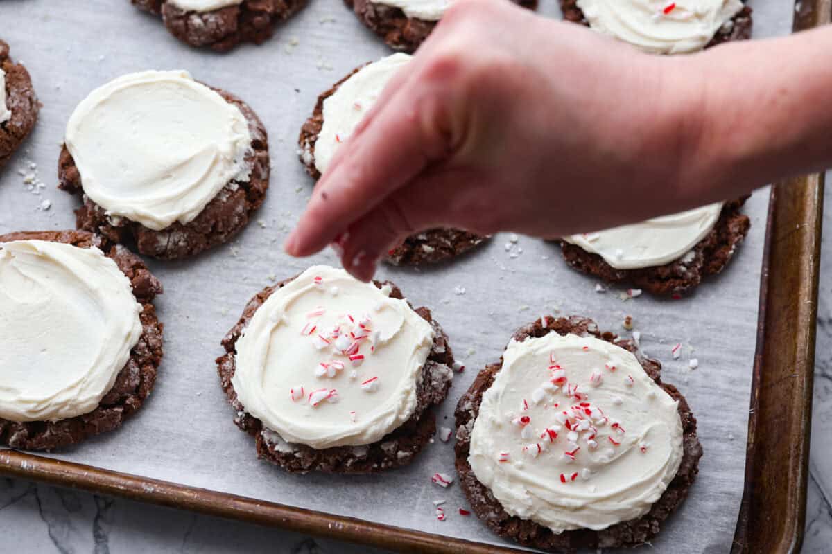 Someone sprinkling crushed peppermint candy onto the frosted chocolate peppermint cookies. 