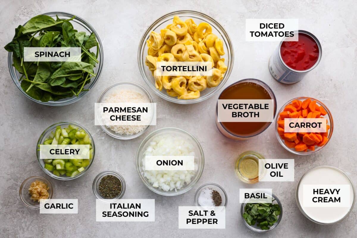 My love of cozy soups kicks in the second summer fades. This creamy tortellini soup gives me all the fall vibes. Fresh veggies, cheesy pasta, and a creamy broth, it's comfort in a bowl. You’ve got to try it today! Overhead shot of labeled creamy vegetable tortellini soup ingredients.