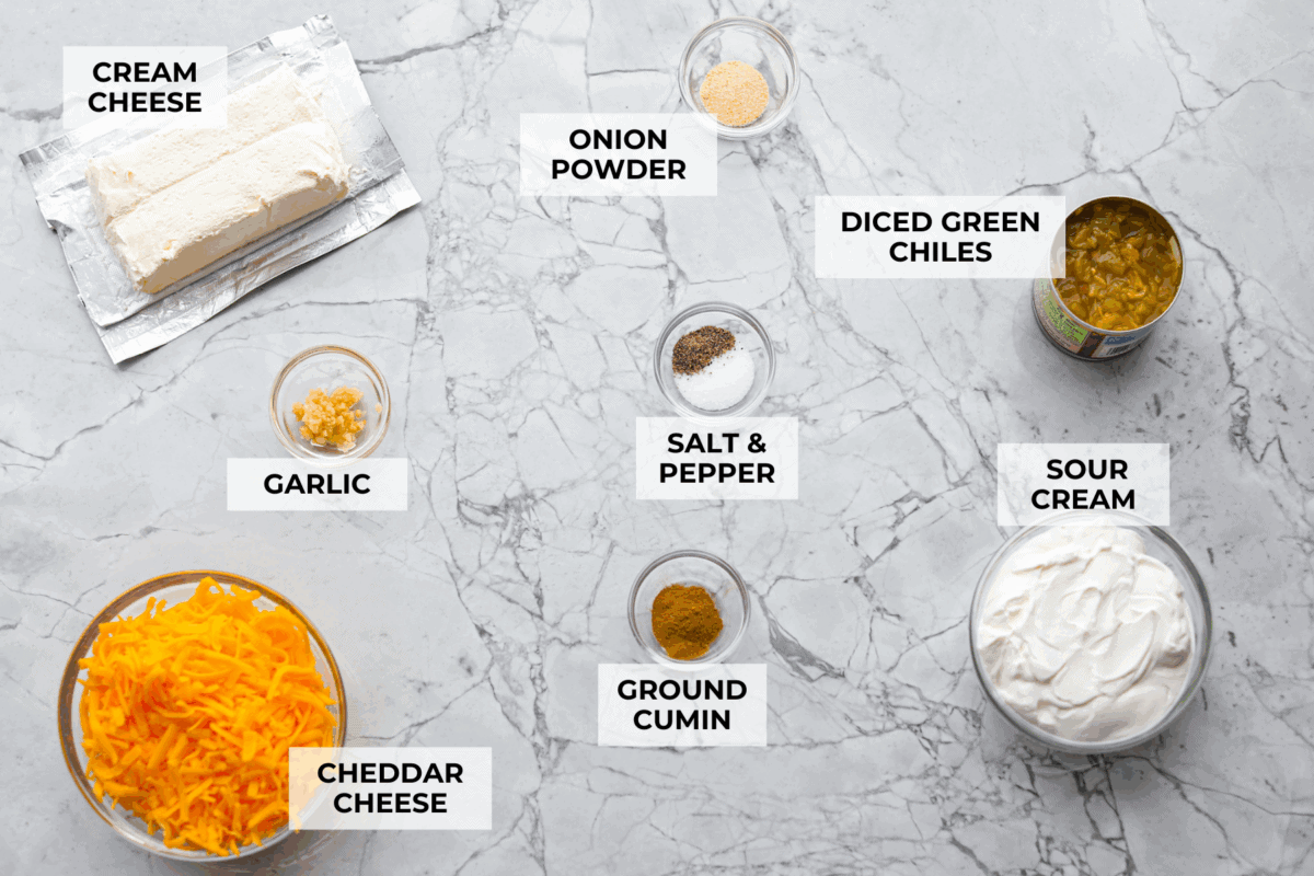 This green chile dip is warm, creamy, and so easy! The best part is, you get to control the heat! I'm telling you, the flavor hits bigger than the ingredient list! Make this for your next get-together, or let's be real, lunch! Overhead shot of labeled green chile dip ingredients.