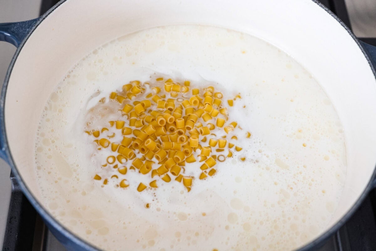 Dry Ditalini pasta, chicken broth and half and half added to the pot. 